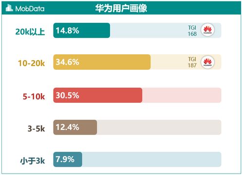 数据洞察之华为手机用户画像报告 酒店管理及信息咨询服务的新机遇