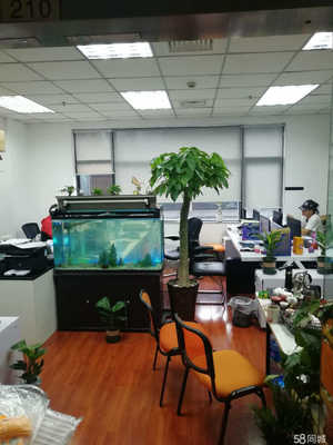 沪岛创业孵化器管理、酒店管理与信息咨询服务的综合性探讨