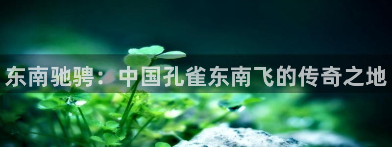 麦田电影在线播放：东南驰骋：中国孔雀东南飞的传奇之地
