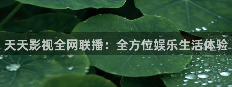 麦田影院官网免费观看：天天影视全网联播：全方位娱乐生活体验