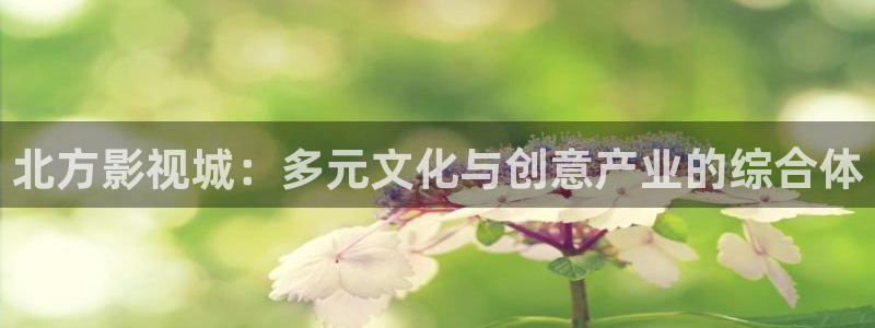 静海麦田国际影城：北方影视城：多元文化与创意产业的综合体