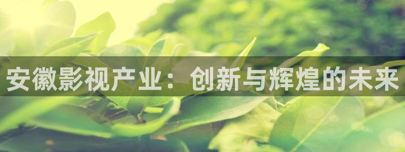 麦田影视在线观看免费：安徽影视产业：创新与辉煌的未来